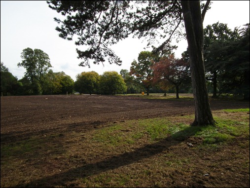 queenspark 050 queenspark 050